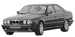BMW E34 P0438 Fault Code